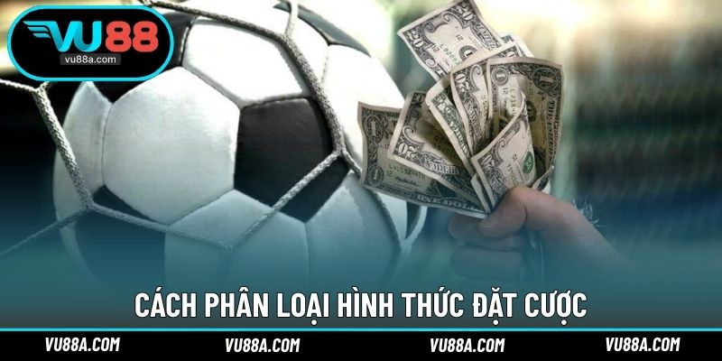 Cách phân loại hình thức đặt cược