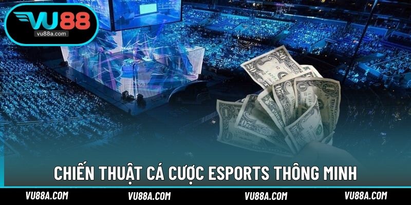 Chiến thuật cá cược esports thông minh