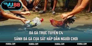 Đá Gà Trực Tuyến C4